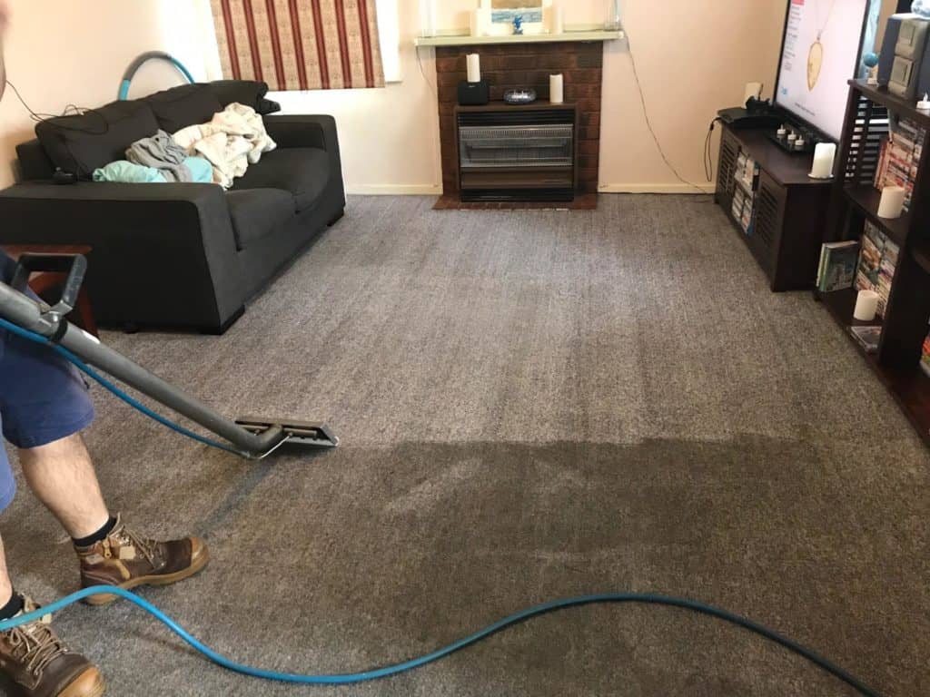 Best For Carpet Cleaning